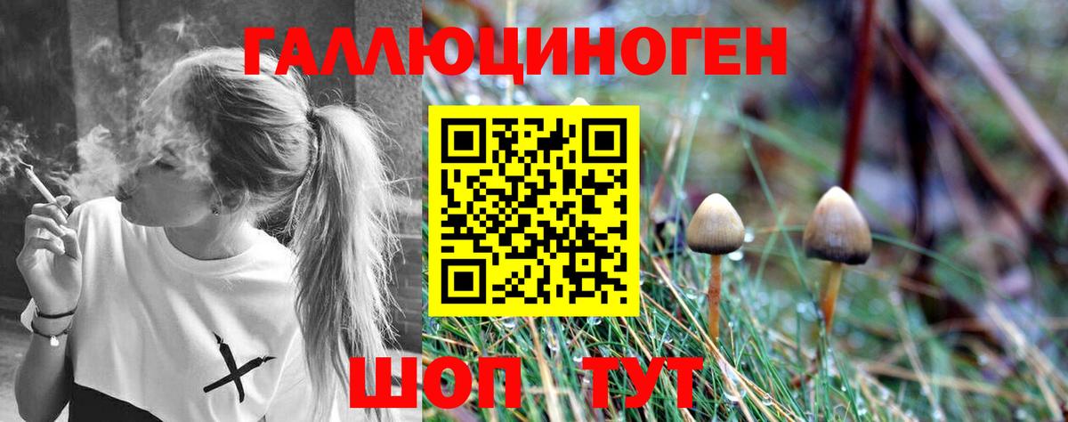 Галлюциногенные грибы Magic Shrooms  хочу наркоту  Ипатово  Вход с VPN 