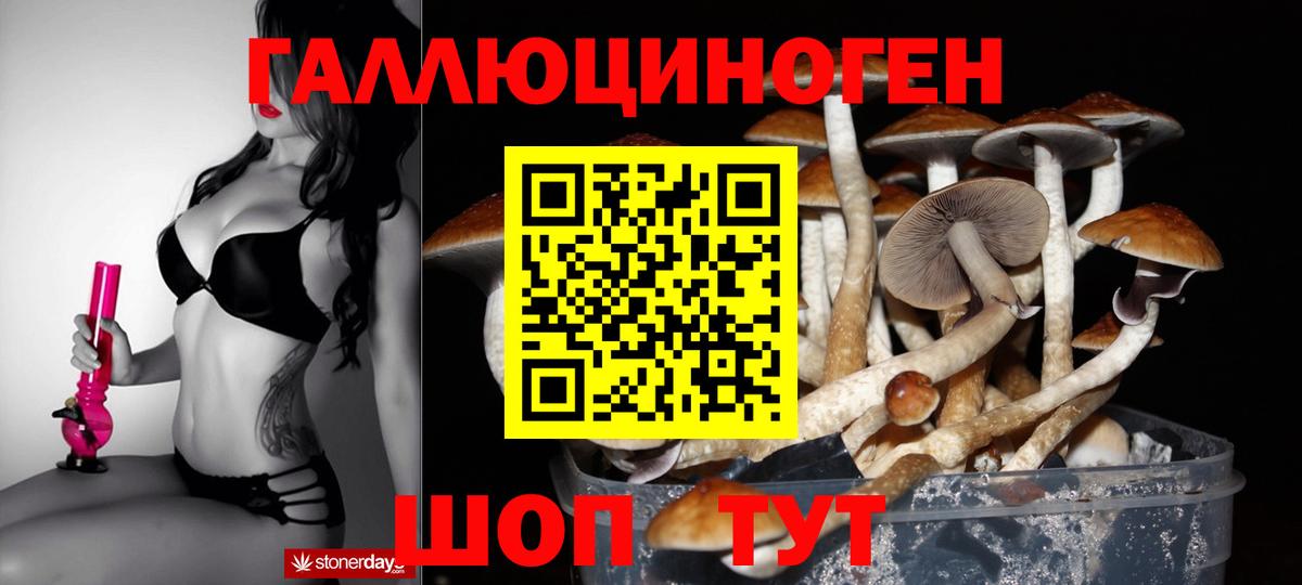 Псилоцибиновые грибы мухоморы Ипатово